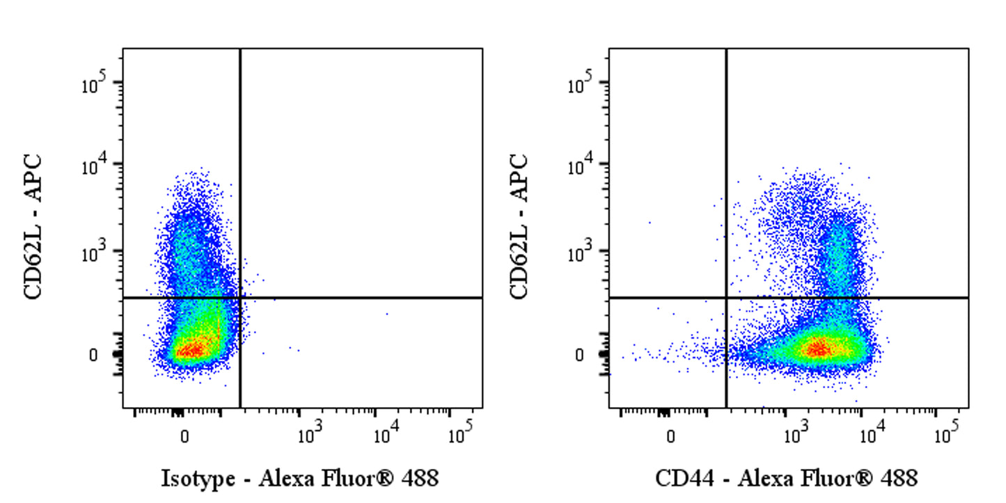 Invivo anti-Mouse/Human CD44 Recombinant mAb