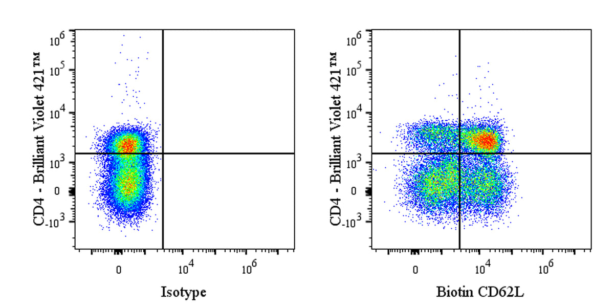 Biotin Mouse Anti-Human CD62L Antibody (S-4130)