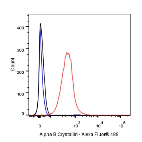 Alpha B Crystallin Recombinant Rabbit mAb (S-R216)