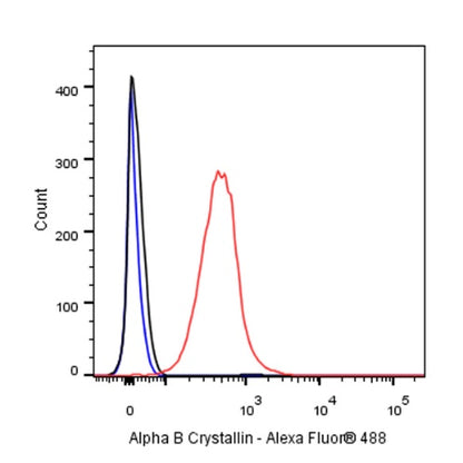 Alpha B Crystallin Recombinant Rabbit mAb (S-R216)