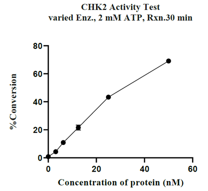 CHEK2(CHK2) GST Tag Protein, Human