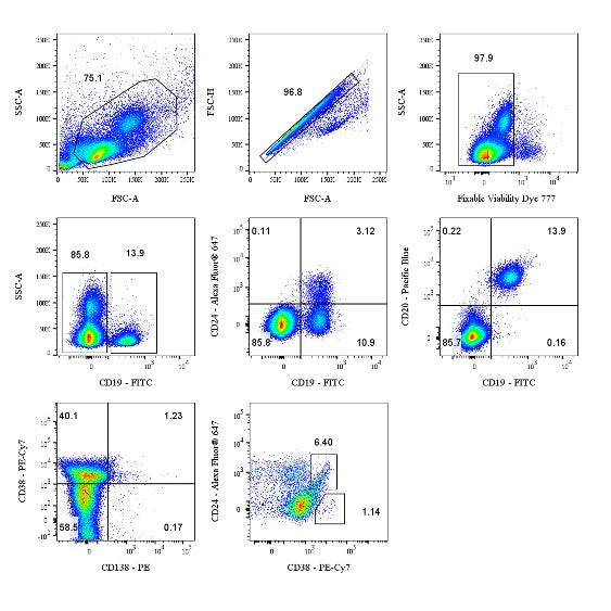 Human B Cell Panel Kit