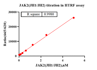 JAK2(JH1 JH2) Protein