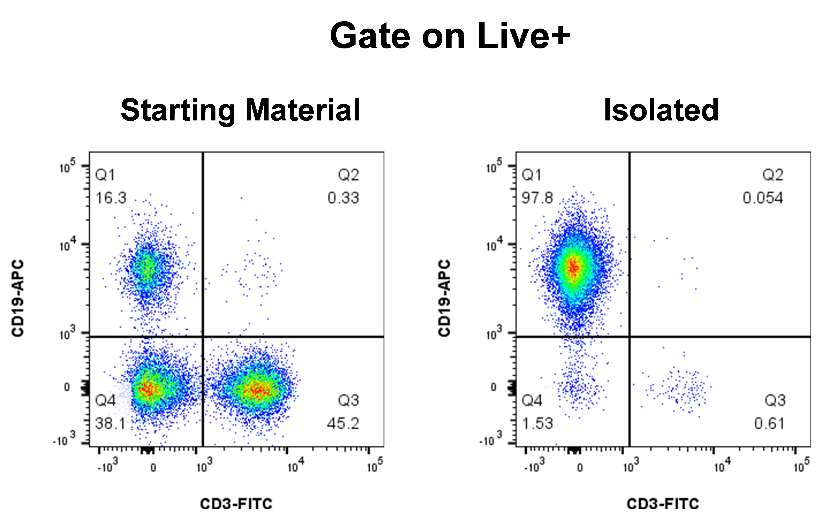 Human B Cell Isolation Kit (Column-Based)