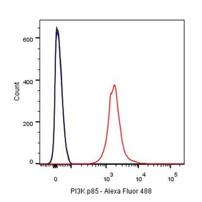 PI3 Kinase p85 Recombinant Rabbit mAb (SDT-R108)