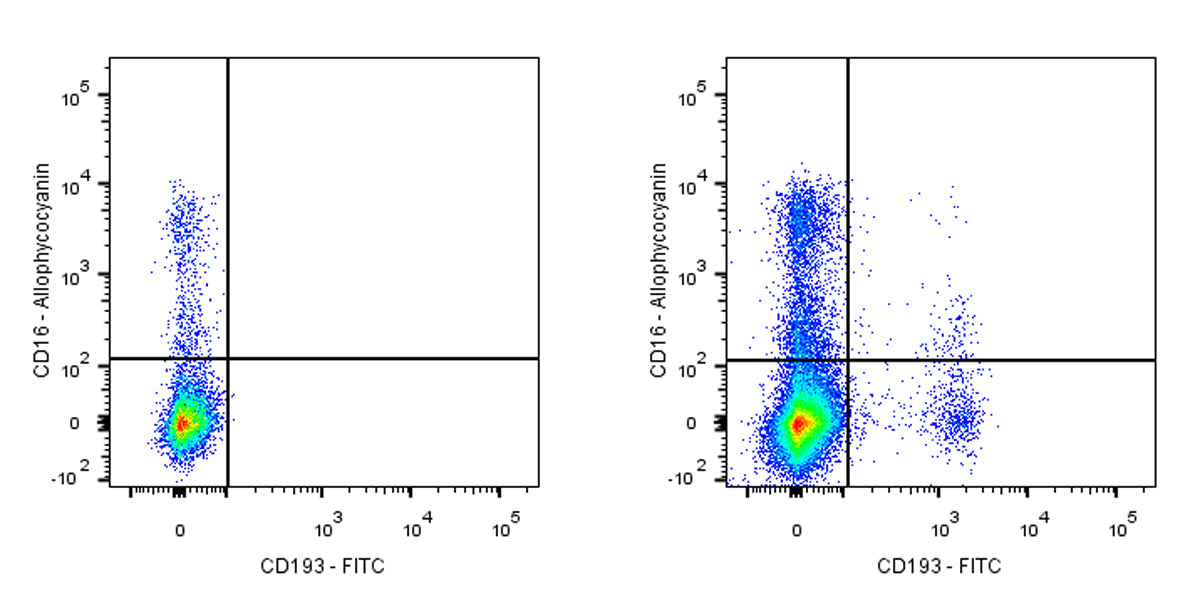 FITC Mouse Anti-Human CD193 Antibody (5E8）