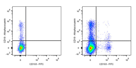 FITC Mouse Anti-Human CD193 Antibody (5E8）