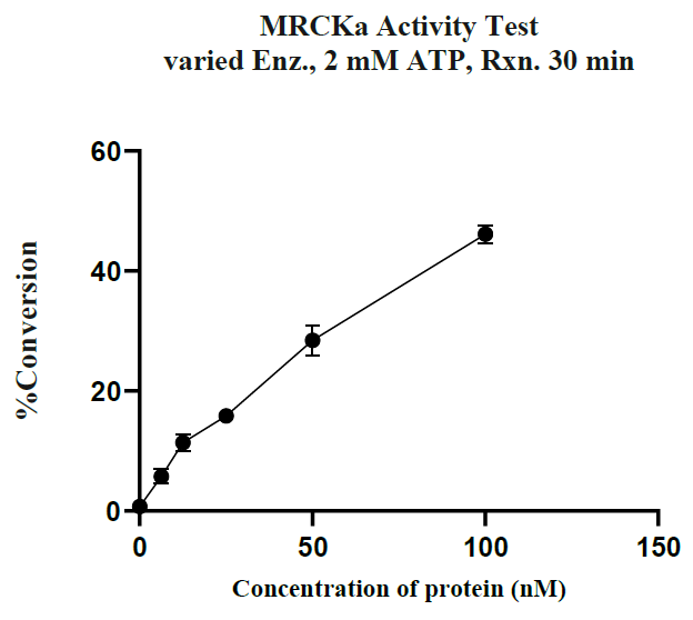 MRCKα GST Tag Protein, Human
