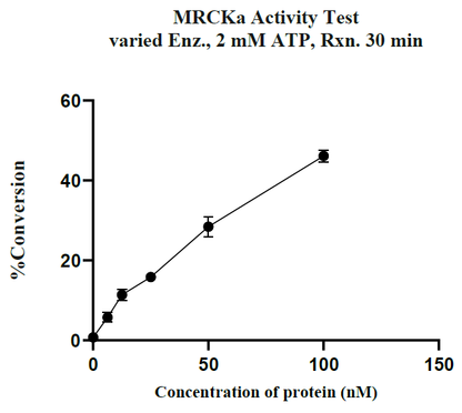 MRCKα GST Tag Protein, Human