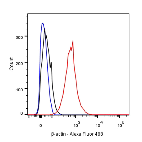 β-actin Recombinant Rabbit mAb (Alexa Fluor® 488 Conjugate) (SDT-R015)