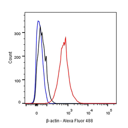 β-actin Recombinant Rabbit mAb (Alexa Fluor® 488 Conjugate) (SDT-R015)