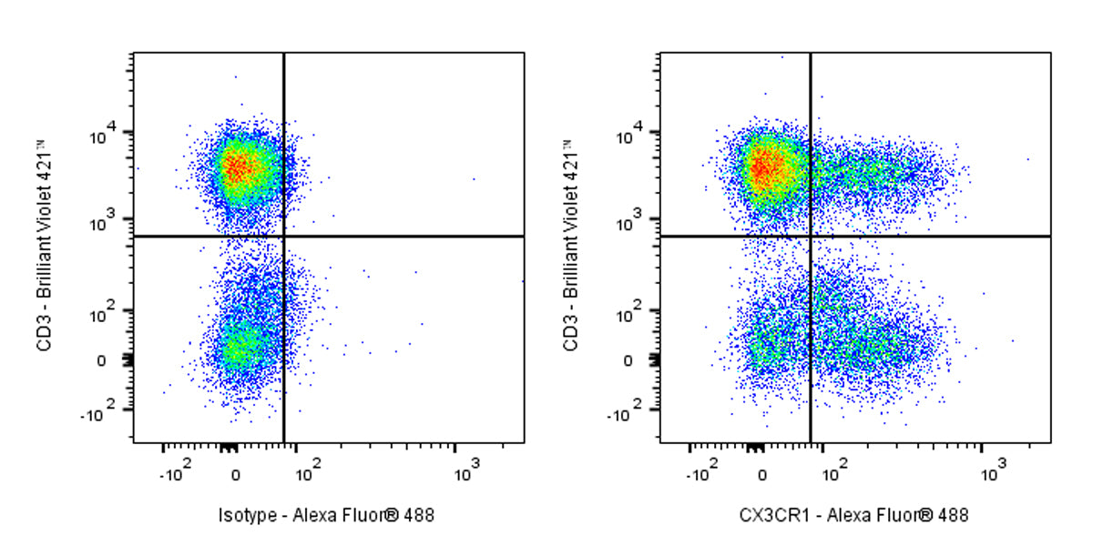 Rat Anti-Human CX3CR1 Antibody (2A9-1)