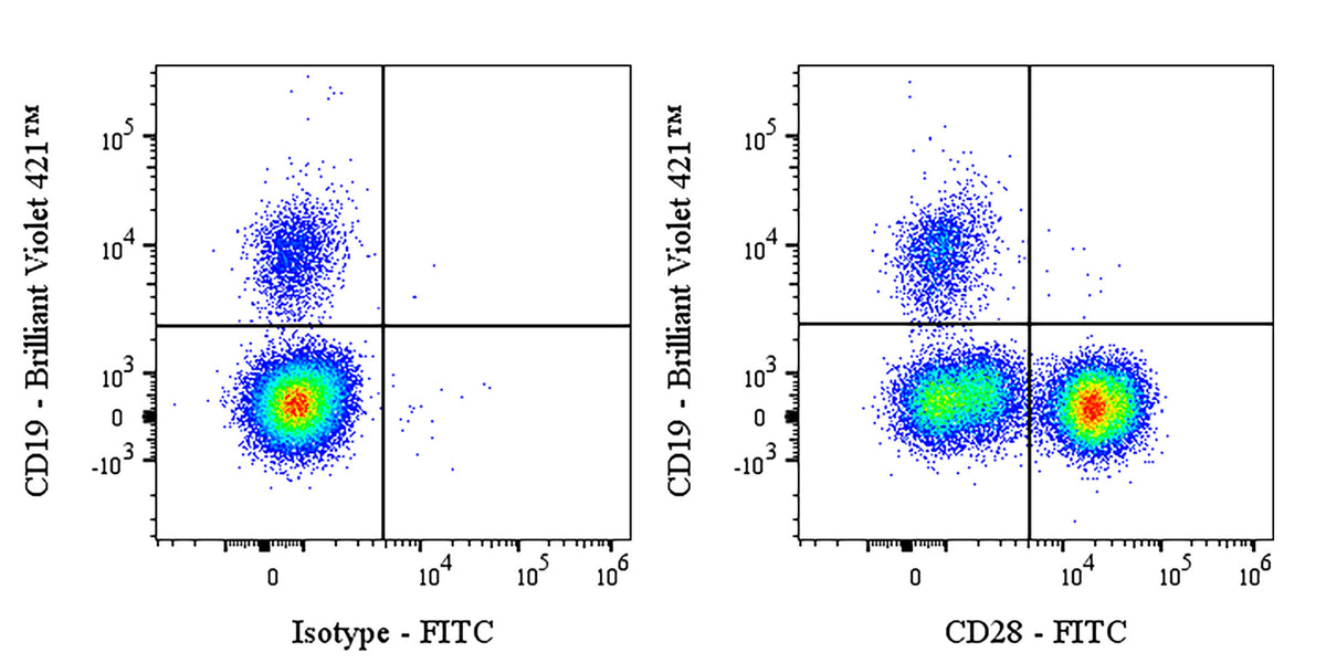 FITC Mouse Anti-Human CD28 Antibody (S-R495-2)