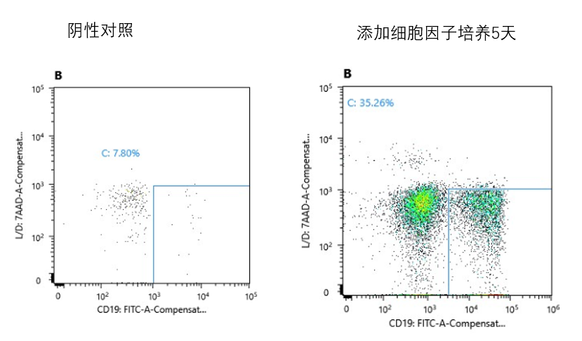 B lymphocyte Polarization Kit, Human