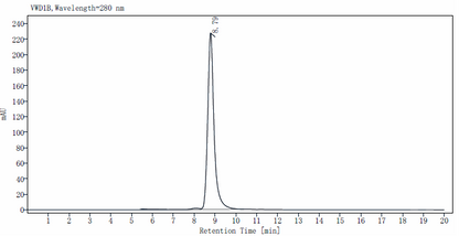 IL-12/IL-23 p40 Monomer Protein, Rat