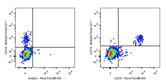 Alexa Fluor® 488 Mouse Anti-Human CD20 Antibody (2H7)