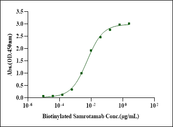 LRRC15/LIB Fc Chimera Protein, Human
