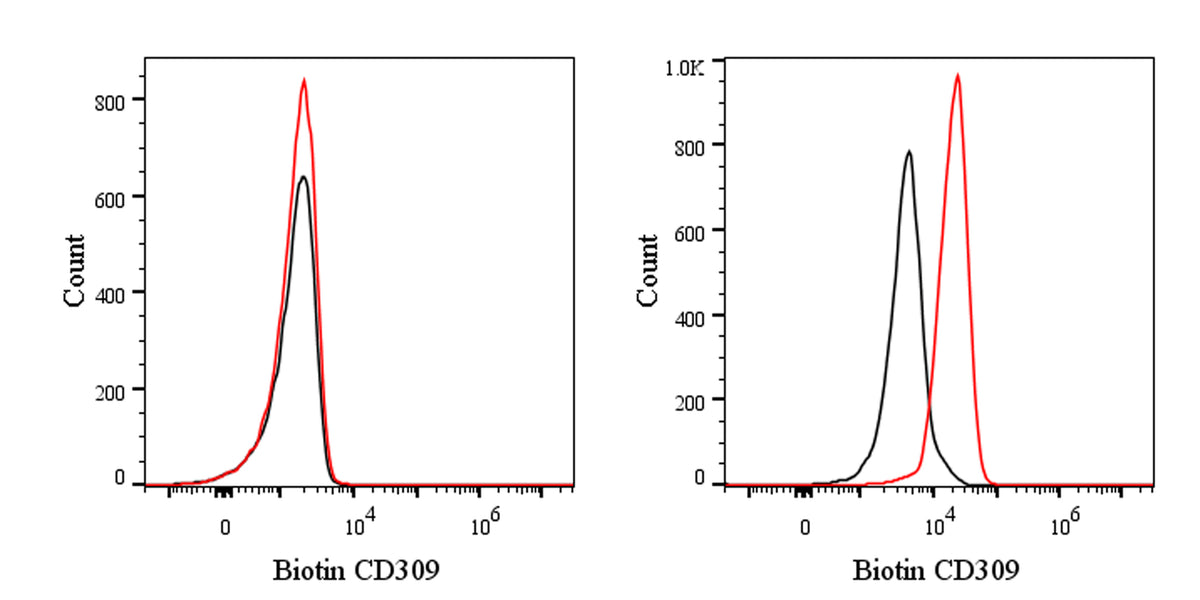 Biotin Rat Anti-Mouse CD309 Antibody (S-R706)