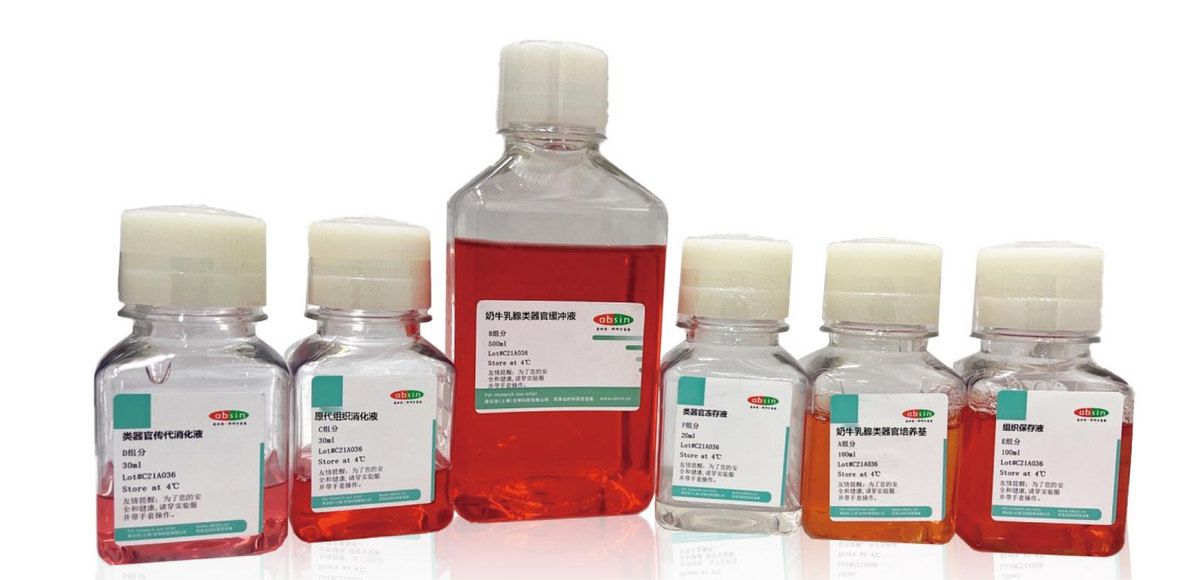 Bovine Mammary Glands Organoid Culture Medium Kit