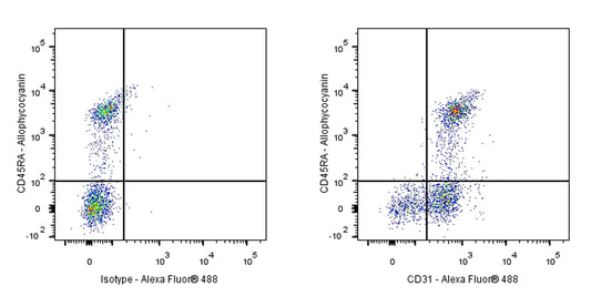 Mouse Anti-Rat CD31 Antibody (TLD-3A12)