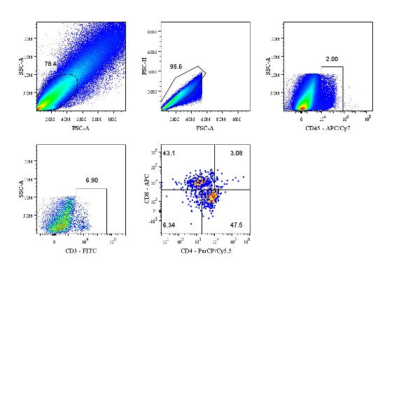 Mouse T Cell Panel kit
