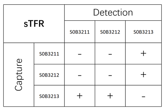 sTfR Recombinant Rabbit mAb (SDT-612-97)