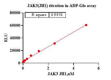 JAK3(JH1) His Tag Protein, Human
