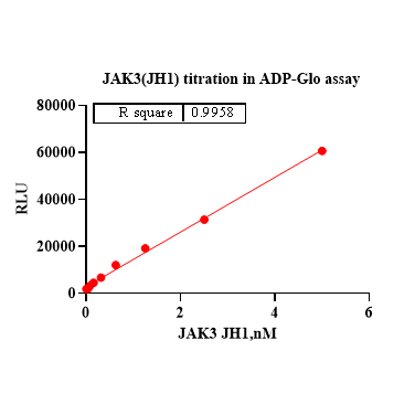 Product image media