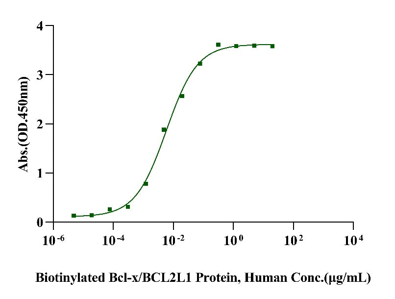 Bcl-x/BCL2L1 Protein, Human