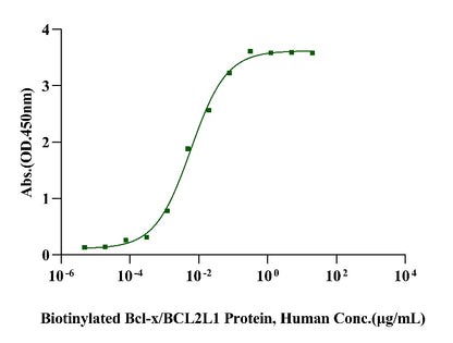 Bcl-x/BCL2L1 Protein, Human