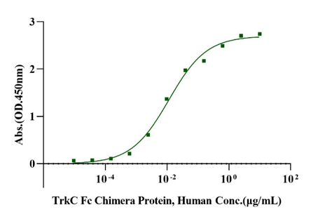 TrkC Fc Chimera Protein, Human