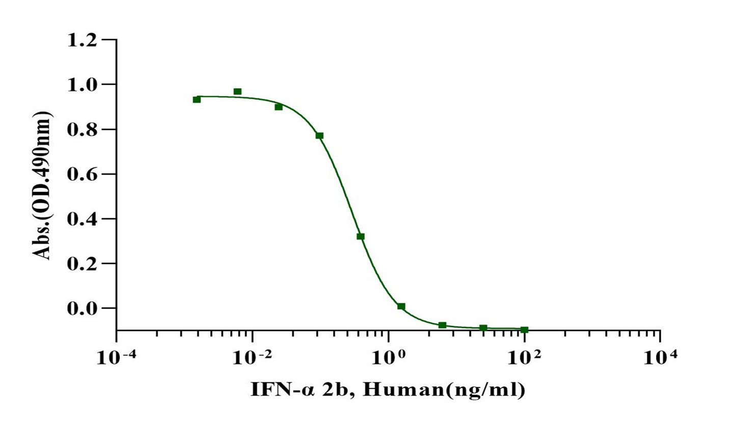 IFN-α 2b Protein, Human