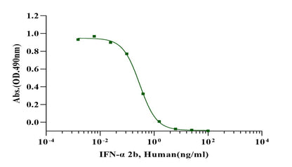 IFN-α 2b Protein, Human
