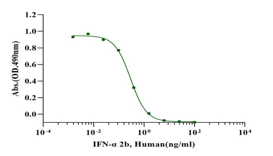 IFN-α 2b Protein, Human
