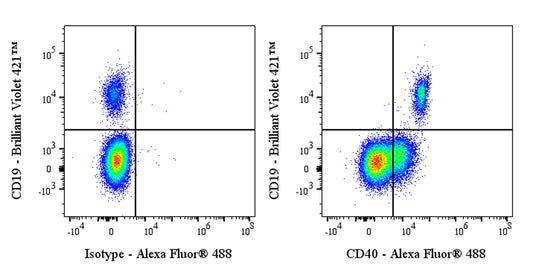 Alexa Fluor® 488 Human Anti-Human CD40 Antibody (ABBV-323)