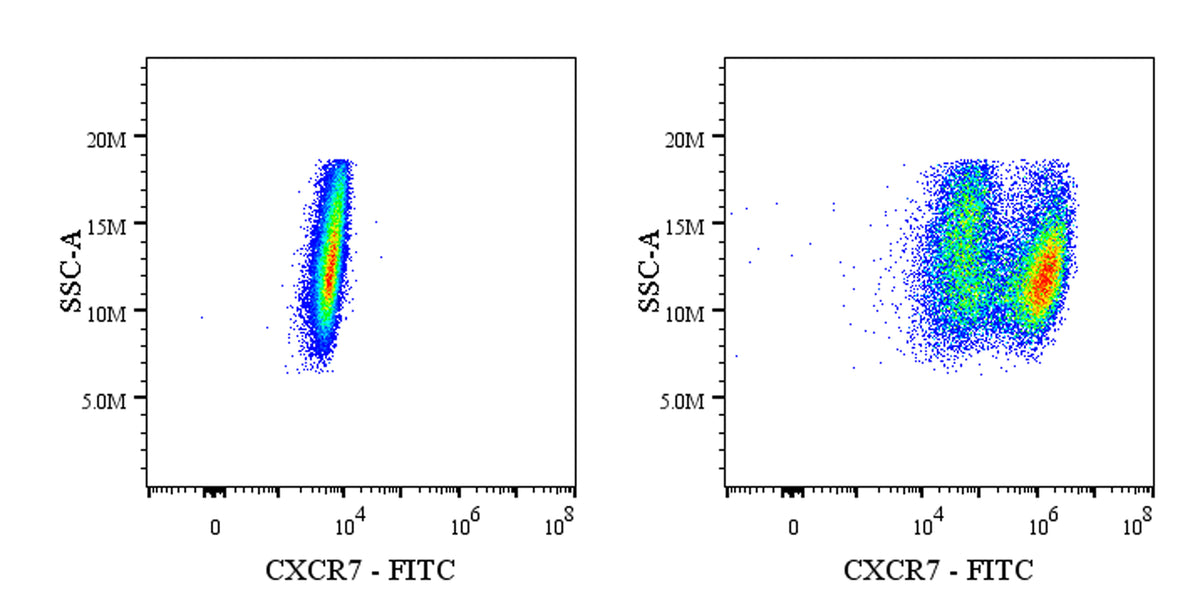 FITC Mouse Anti-Human/Mouse CXCR7 Antibody (S-3127)