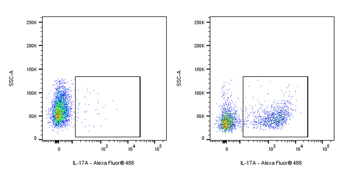 Alexa Fluor® 488 Rat Anti-Mouse IL-17A Antibody (S-R683)