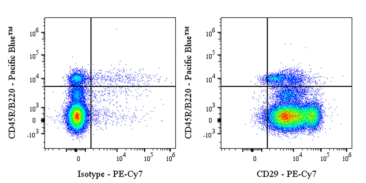PE-Cy7 Armenian hamster Anti-Mouse/Rat CD29 Antibody (HMB1-1)