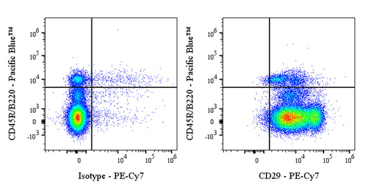 PE-Cy7 Armenian hamster Anti-Mouse/Rat CD29 Antibody (HMB1-1)