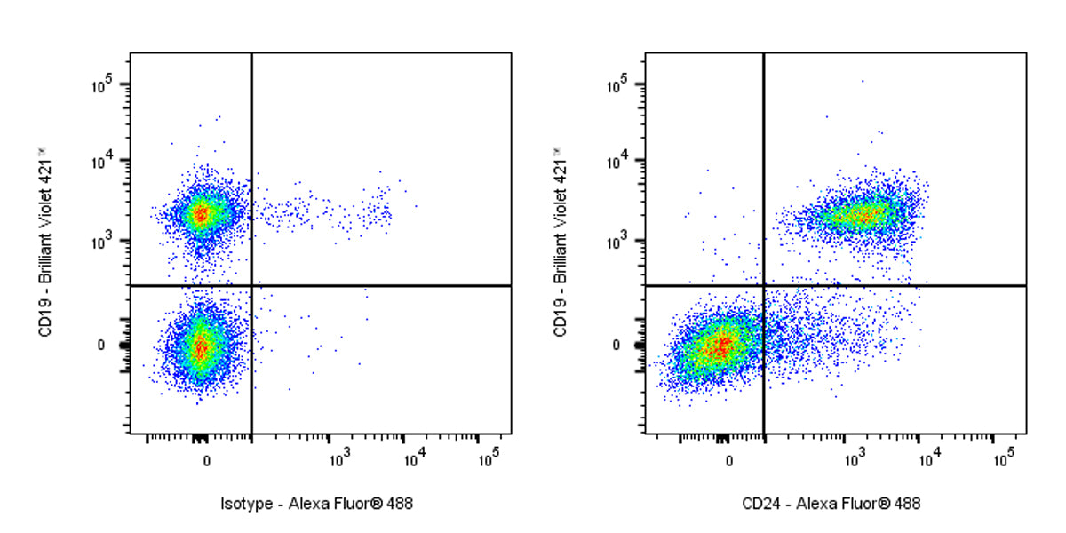Rat Anti-Mouse CD24 Antibody (M1/69)