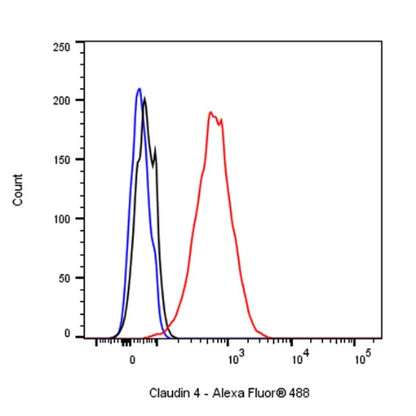 Claudin 4 Recombinant Rabbit mAb (SDT-814-53)