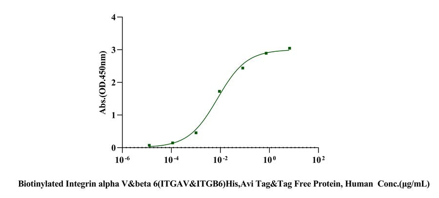 Biotinylated Integrin alpha V&beta 6(ITGAV&ITGB6) His,Avi Tag&Tag Free Protein, Human