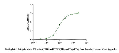 Biotinylated Integrin alpha V&beta 6(ITGAV&ITGB6) His,Avi Tag&Tag Free Protein, Human