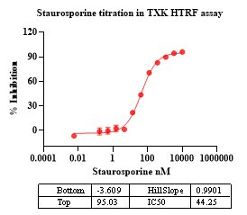 TXK Protein