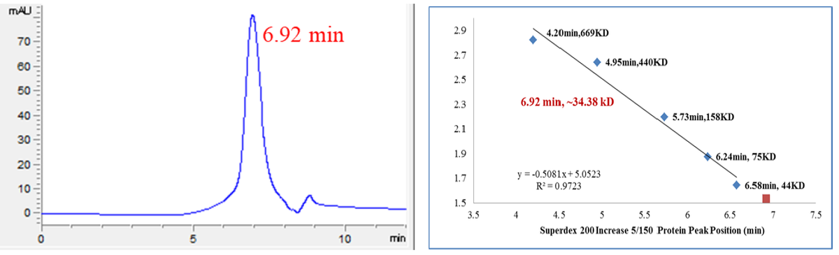 PIM1 Protein, Human