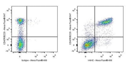 Rat Anti-Mouse I-A/I-E Antibody (S-R512)