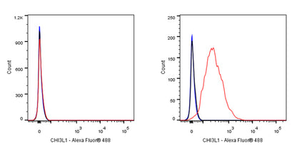 CHI3L1 Recombinant Rabbit mAb (S-324-38)
