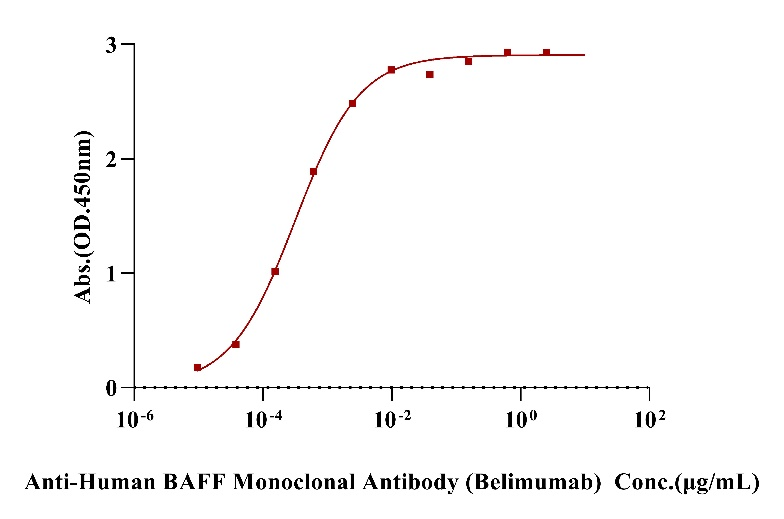 BAFF/TNFSF13B/CD257 Trimer His Tag Protein, Human