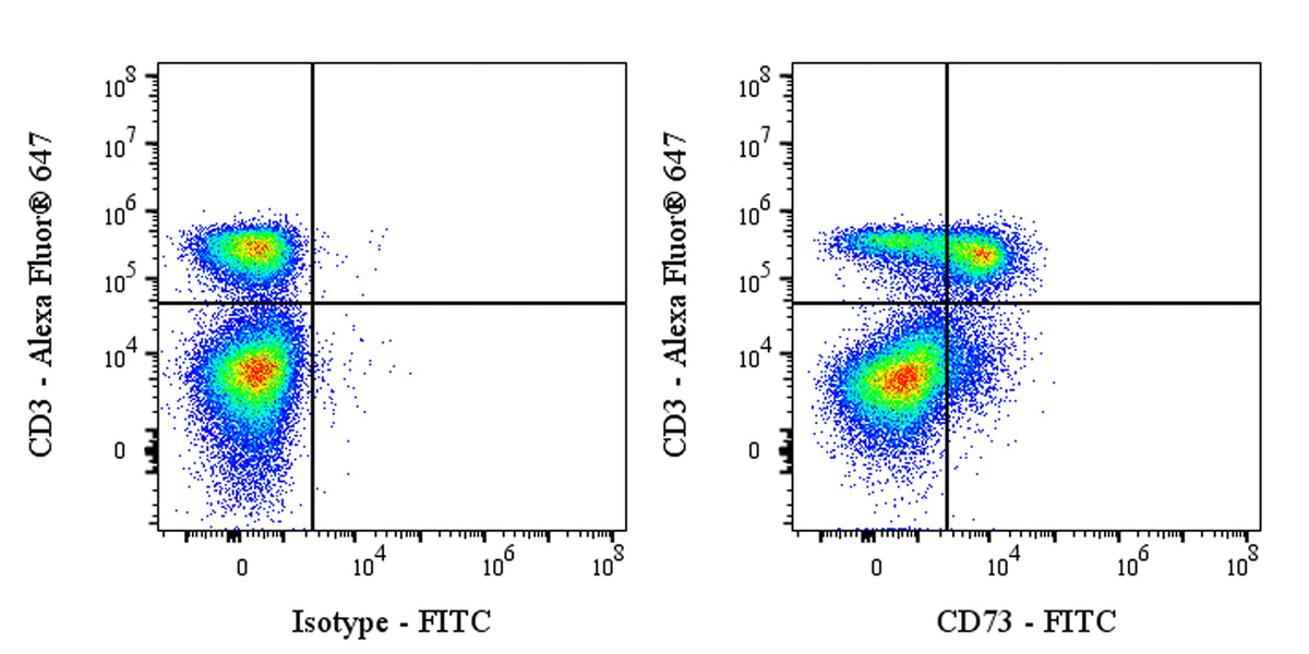 FITC Rat Anti-Mouse CD73 Antibody (S-R636)