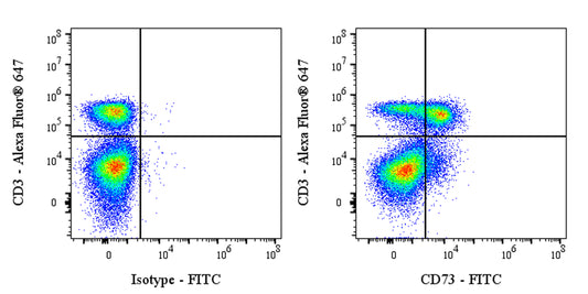 FITC Rat Anti-Mouse CD73 Antibody (S-R636)